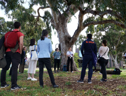 (AU) Parkville Biodiversity Tour