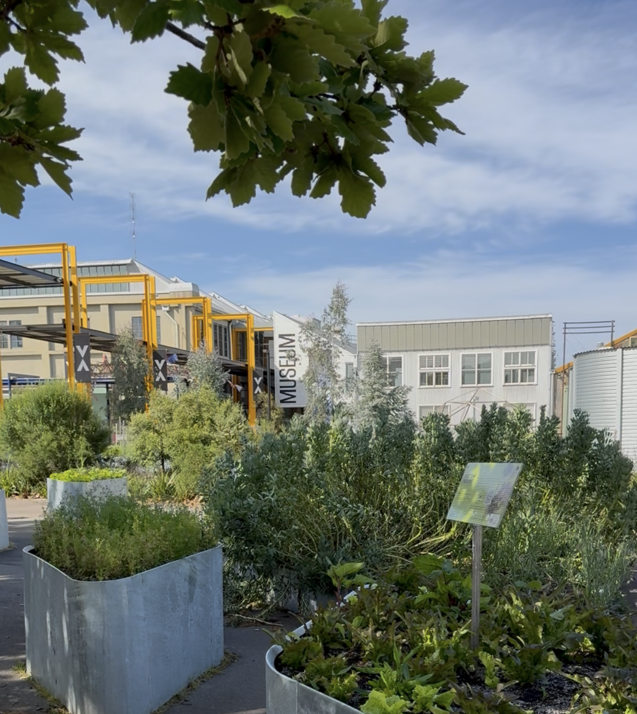 UTAS Community Gardens