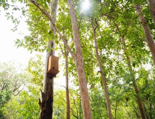 Restoring Campus Ecosystems through the Nature Positive Pledge