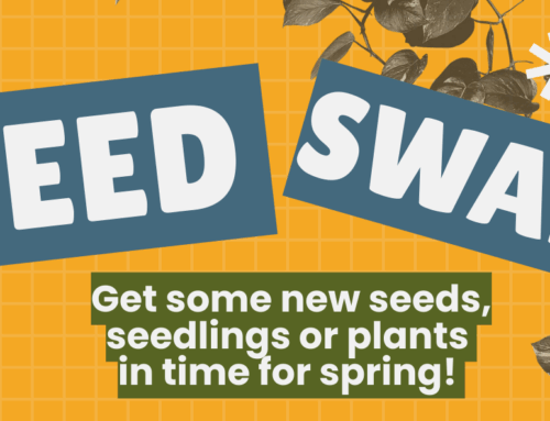 (NZ) Massey Seed Swap