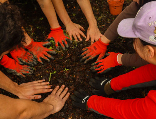 A Recipe for Change: Otago’s Global Sustainability Milestone