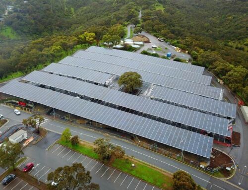 From Strategy to Impact: Flinders University’s Global Sustainability Recognition